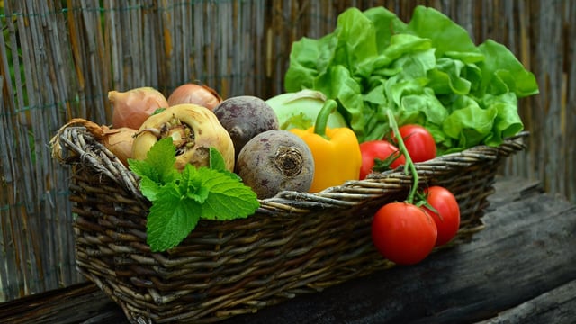 Prisoners to learn farming skills in vegetable growing scheme