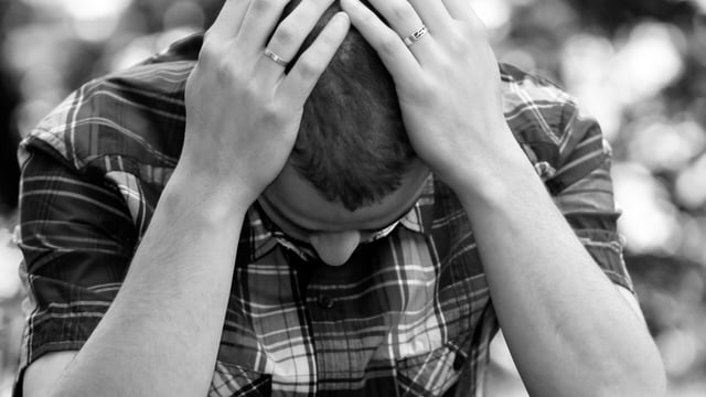Coping with stress workshops for NI poultry farmers