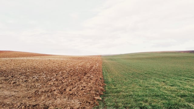 Investment in soils could not only benefit the environment – research