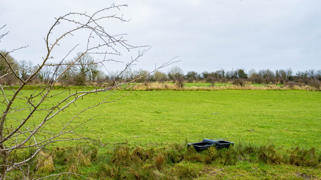 New environmental targets set by the government