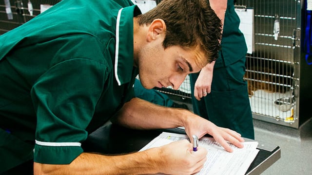 Vet Sustain launches first-ever carbon calculator for vet practices