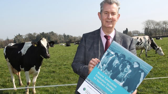NI: Long-term bovine TB eradication-strategy launched