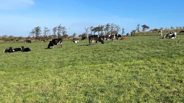 Projections for NI ag sector GHG emissions to 2030
