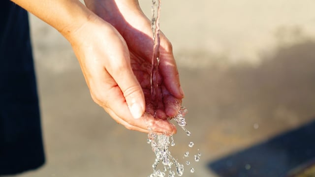 Scottish partnership improves water quality and animal health