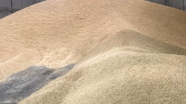 Unprecedented challenges facing farming and food in NI – NIGTA