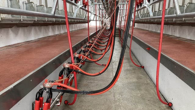 MEA launches new training scheme