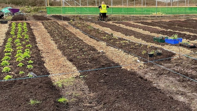 Bristol city farm to benefit from £2.2m funding