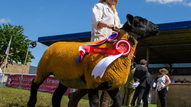 Entries ‘flooding in’ for Royal Bath & West show