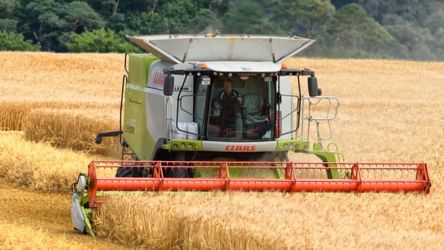 Experts warn that ‘excessive’ commodity speculation threatens food security