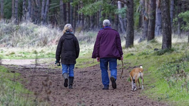 HSE reminds walkers to be cautious around cattle this Easter