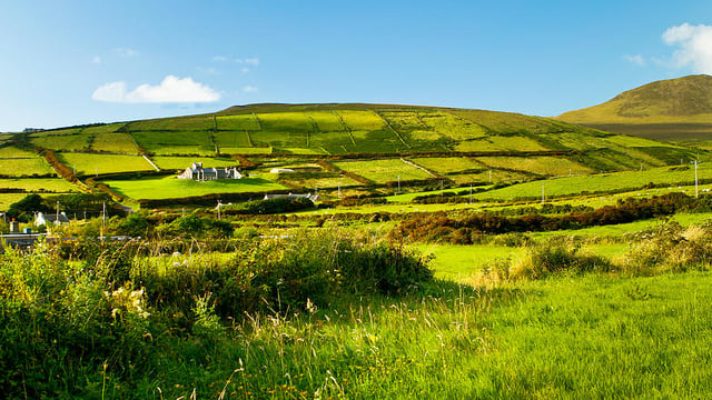DAERA co-funds agri-food and bioeconomy research projects
