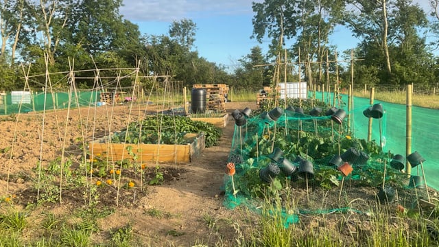 Pembrokeshire ag soc provides land for community garden