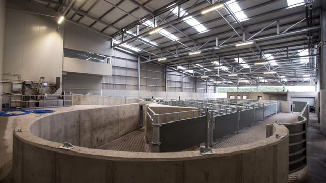 See inside ‘the world’s first’ carbon-neutral beef factory