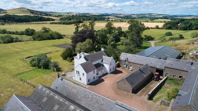 Savills brings 540ac Kelso stock farm to the market