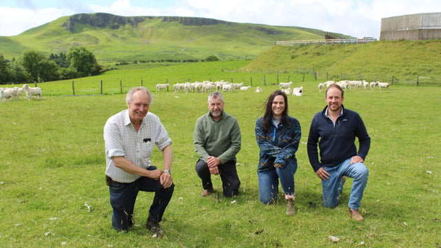Wicklow group visits EasyCare sheep operation in Co. Antrim