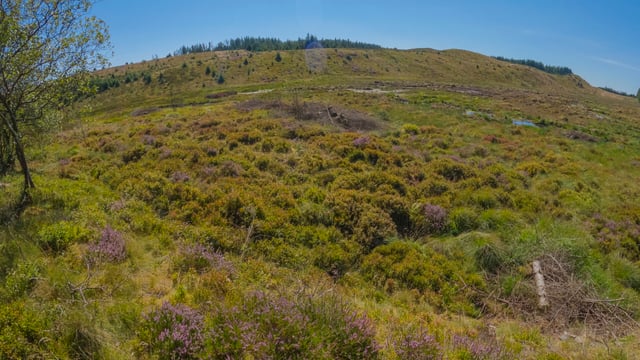 Peatland roadshow events to ‘demystify’ restoration benefits
