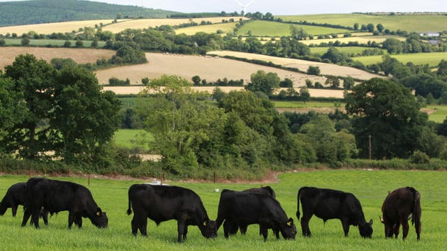 Farming orgs welcome Windsor Framework but raise concerns