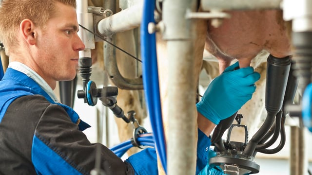 DeLaval breaks ground on rebuild at Hamra Farm
