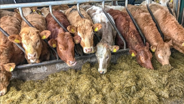 UFU: Sustainability for future of Farm Quality Assurance Scheme