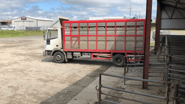 NI lamb exports to ROI running ahead of 2021 levels
