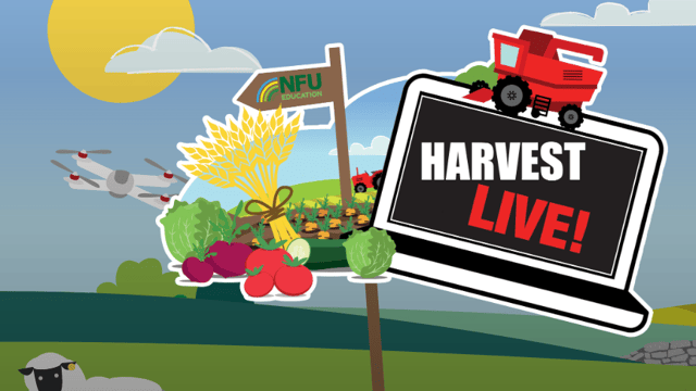 NFU: Over 130,000 school children sign up to harvest festival