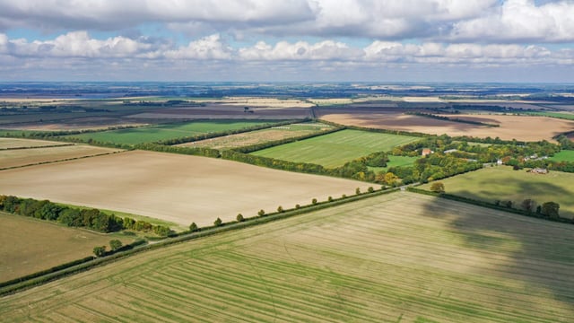 East Anglia farm of over 1,000ac comes onto the market
