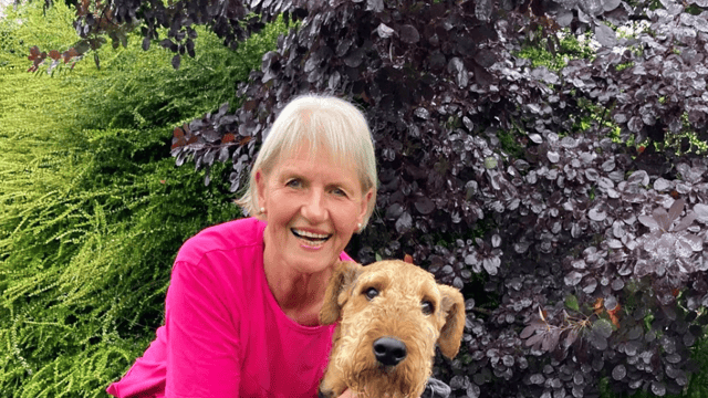 Wales’ chief veterinary officer to step down