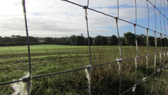 Proposal to extend SSPCA’s powers to tackle wildlife crime