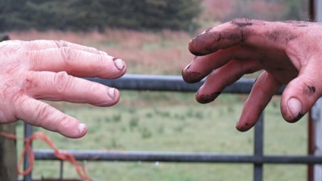 Keep the spotlight on mental health in rural areas – FUW