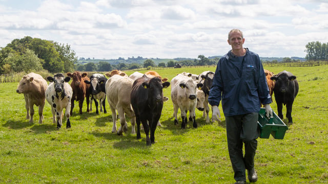 Former BVA president appointed to Red Tractor board
