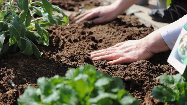 Soil Association disappointed over new precision breeding law