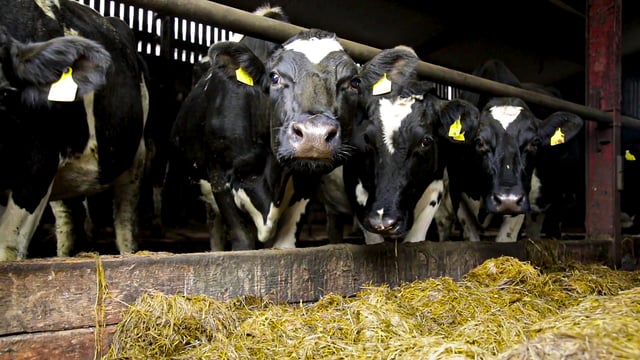 Grazing season 2022: Knowing when to call it a day
