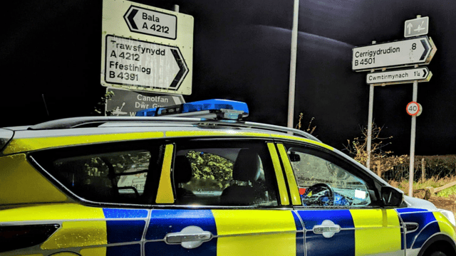 Appeal for information on 18 stolen cattle in Wrexham