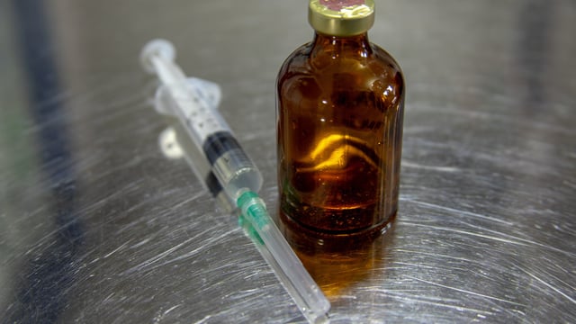 Sales of vet antibiotics in the UK at lowest level ever recorded – report