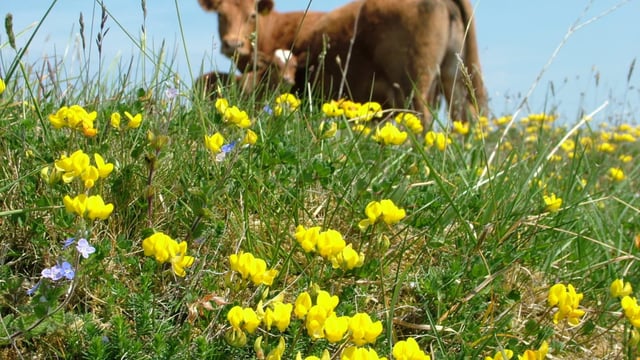 NFU Scotland will ‘continue to oppose’ Galloway National Park proposal