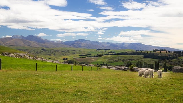 New government climate package puts ‘nature at the forefront’