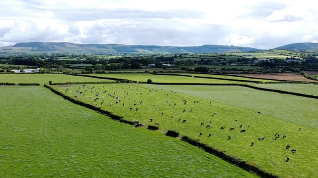 FAO to lead programme to transform agri-food systems