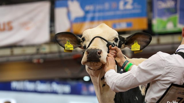 UK Dairy Day 2023: Timetables, parking info and maps