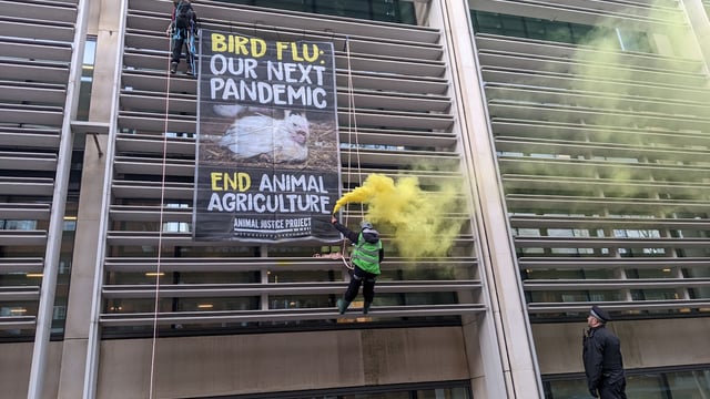Animal rights activists scale Defra building