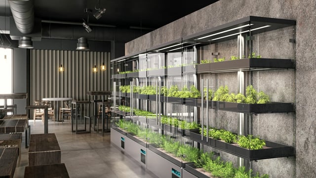The twentysomethings changing the future of agriculture