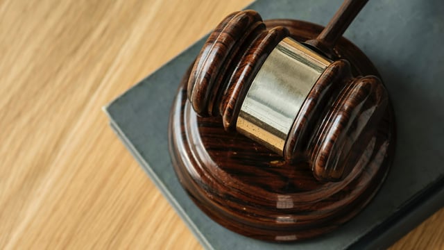 Derbyshire: Woman fined after dogs kill 15 sheep and injure 13