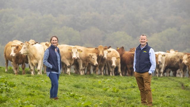 Dawn Meats invests £90m to reach net-zero target
