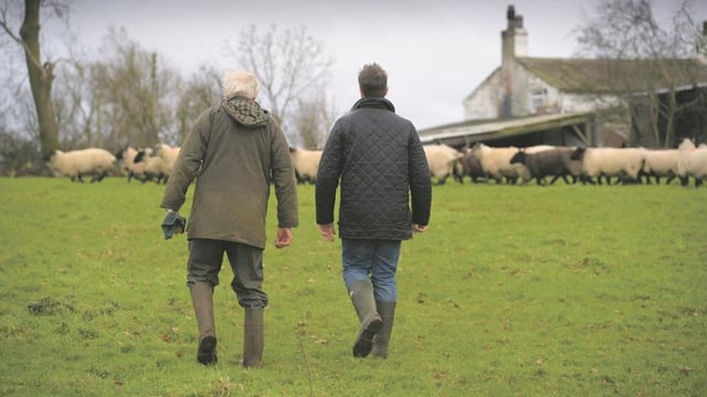 AHDB Norwich monitor farm to conduct labour and machinery review
