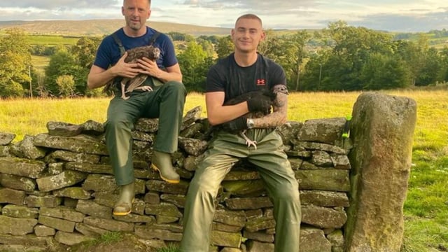 ‘No shortage here’ says turkey farmer
