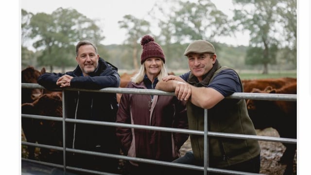 Cattle used to restore ‘secret forest’ after 100 years