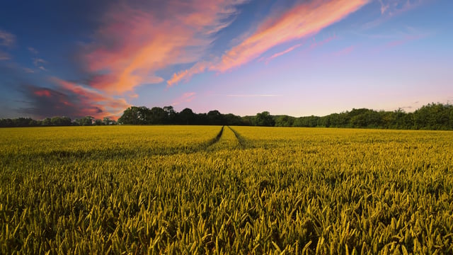 Cropin secures funding from investors including Google