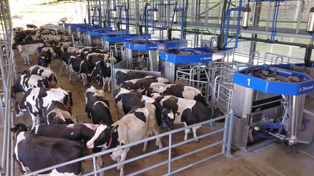 DeLaval to grow production capacity of automatic milking systems