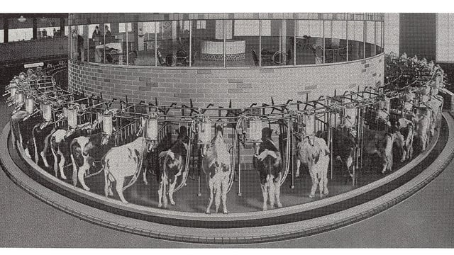 DeLaval celebrates 100 years in Britain