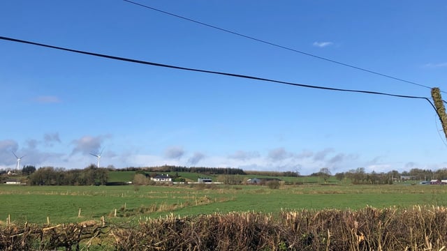 New hedgerows regulations to protect farmland wildlife – UK govt
