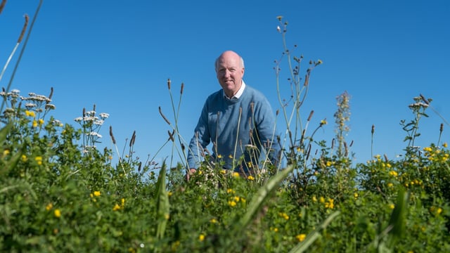 TGA joins turf grower in call for plastic-free turf